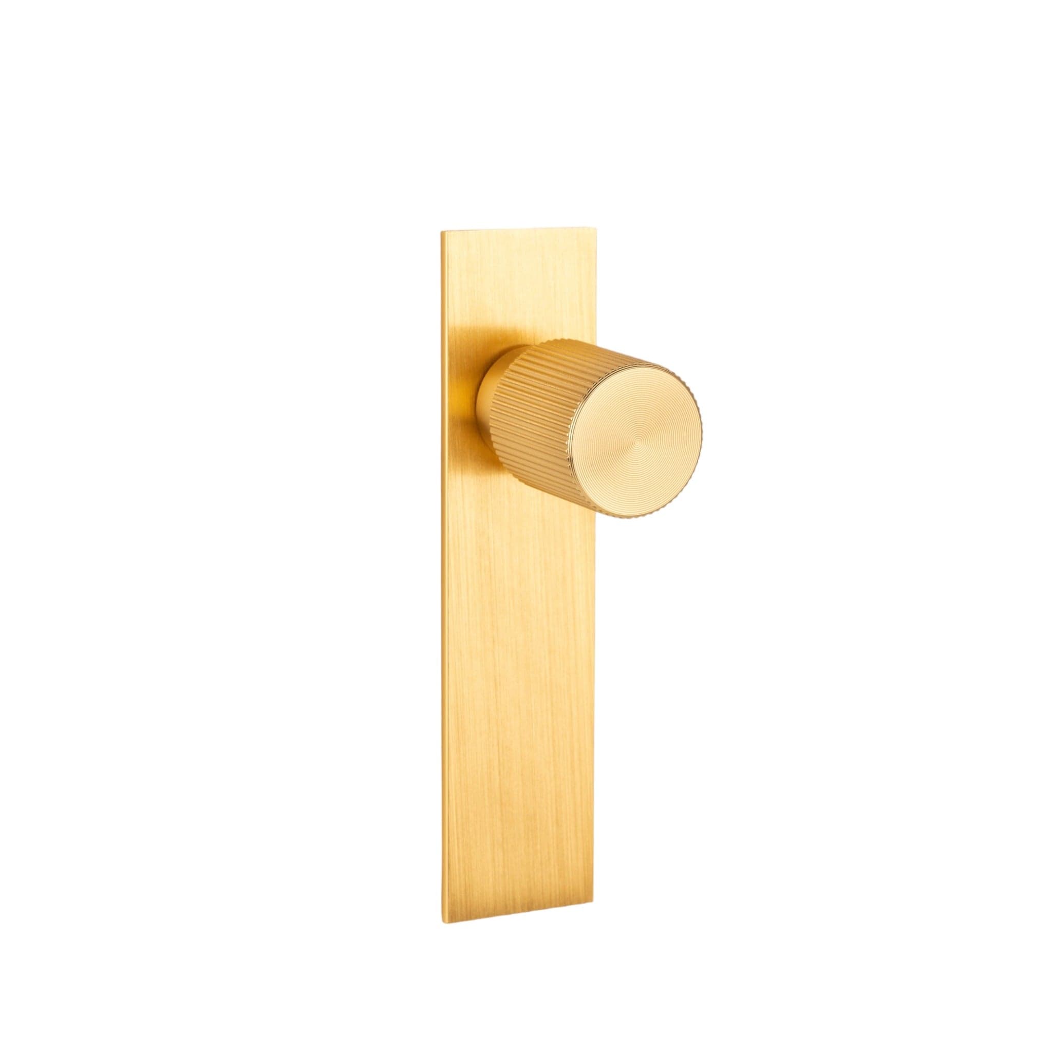 Arpa Plate | Knop i Børstet Messing L 100 mm x D 33 mm Viefe FINICC