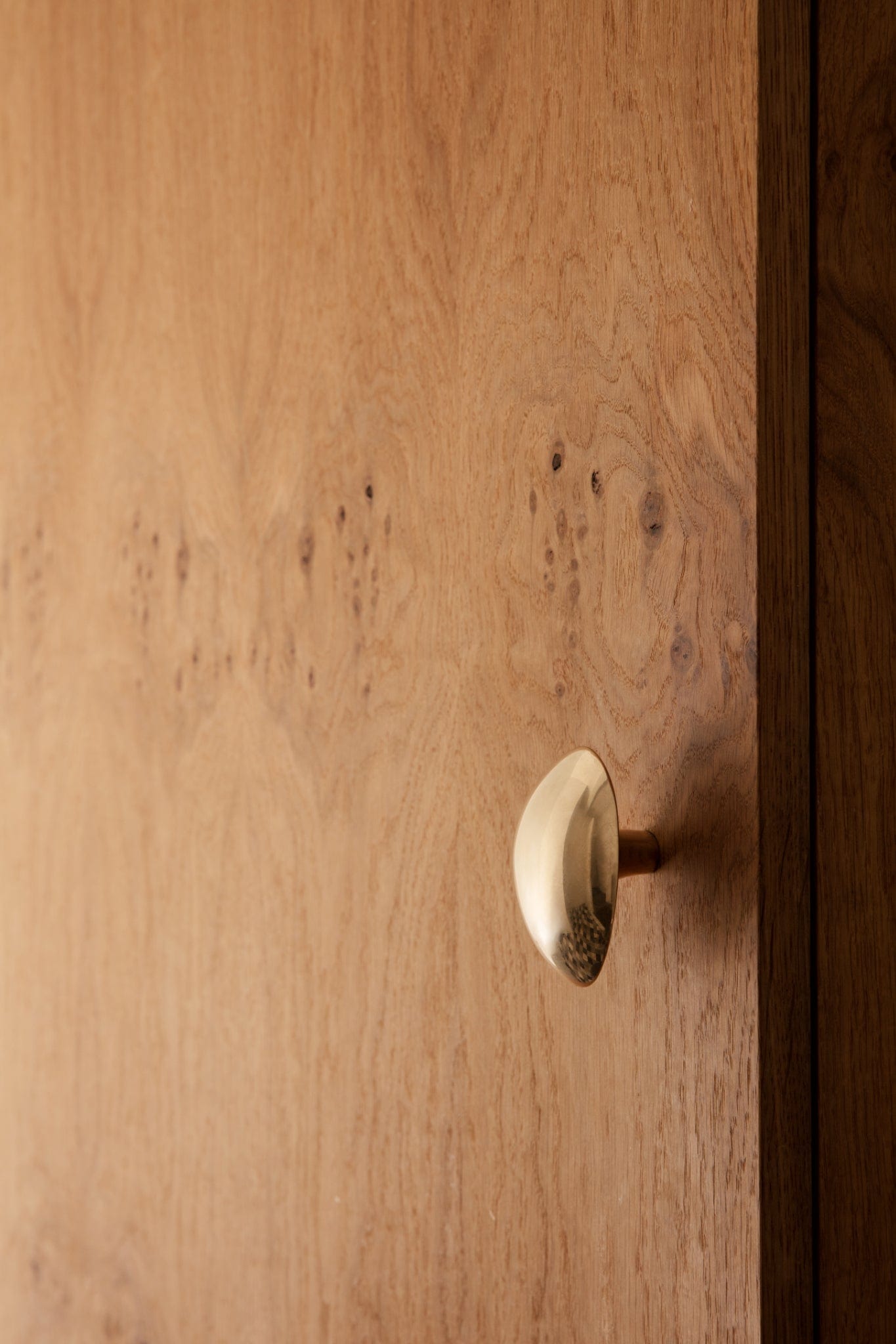 Chanterelle | Knop/Knage i Blank Messing Uden lak L 60 mm x B 70 mm ferm LIVING FINICC