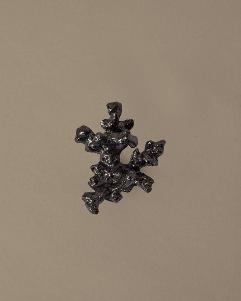 Comber Coral Branch | Knop/Knage i Sortoxideret Aluminium L 40 mm x B 60 mm ferm LIVING FL-1104270841 FINICC