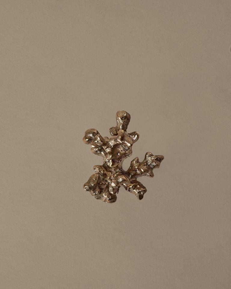 Comber Coral Branch | Knop/Knage i Ubehandlet Messing L 40 mm x B 60 mm ferm LIVING FL-1104270840 FINICC