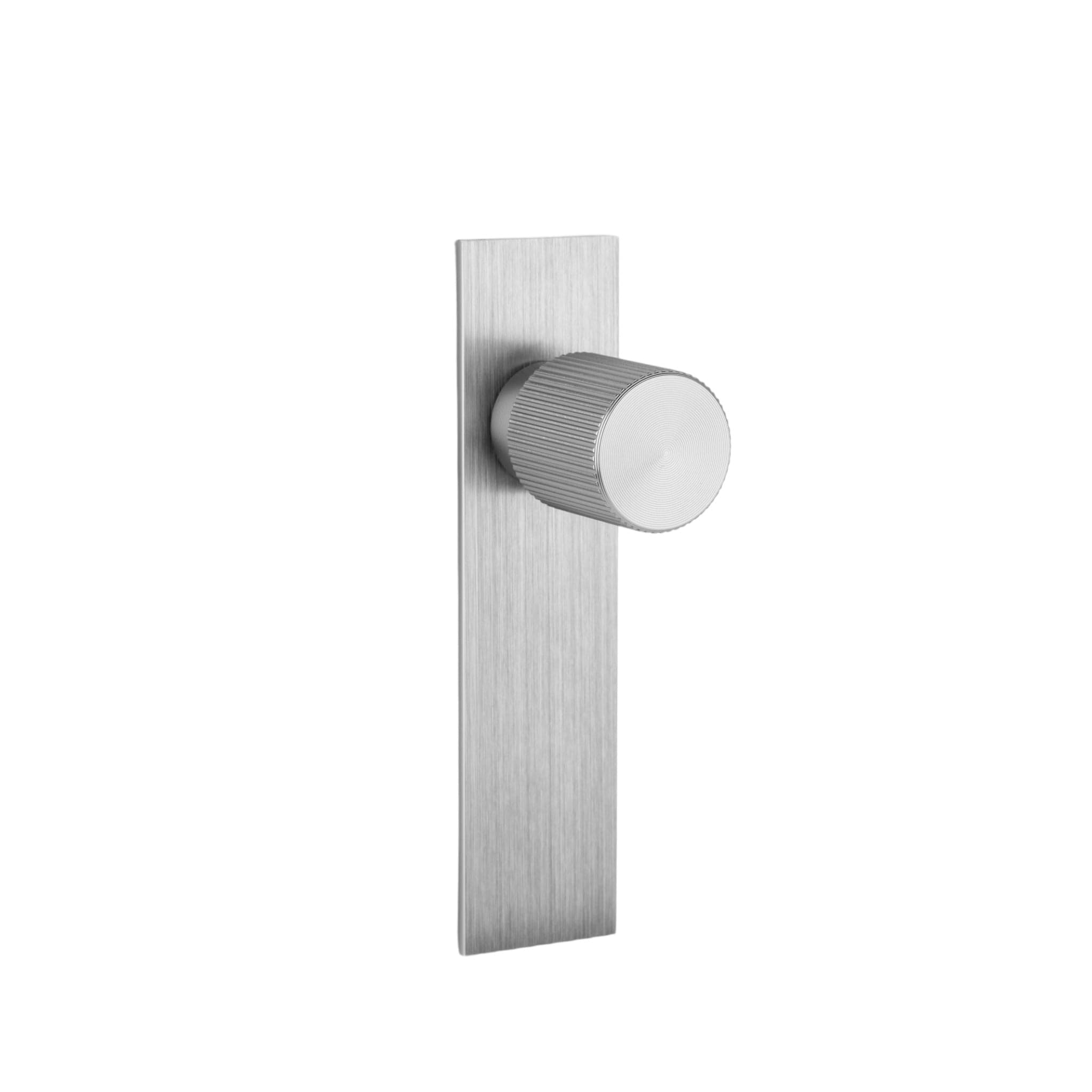 Arpa Plate | Knop i Rustfrit Stål Finish L 100 mm x D 33 mm Viefe FINICC
