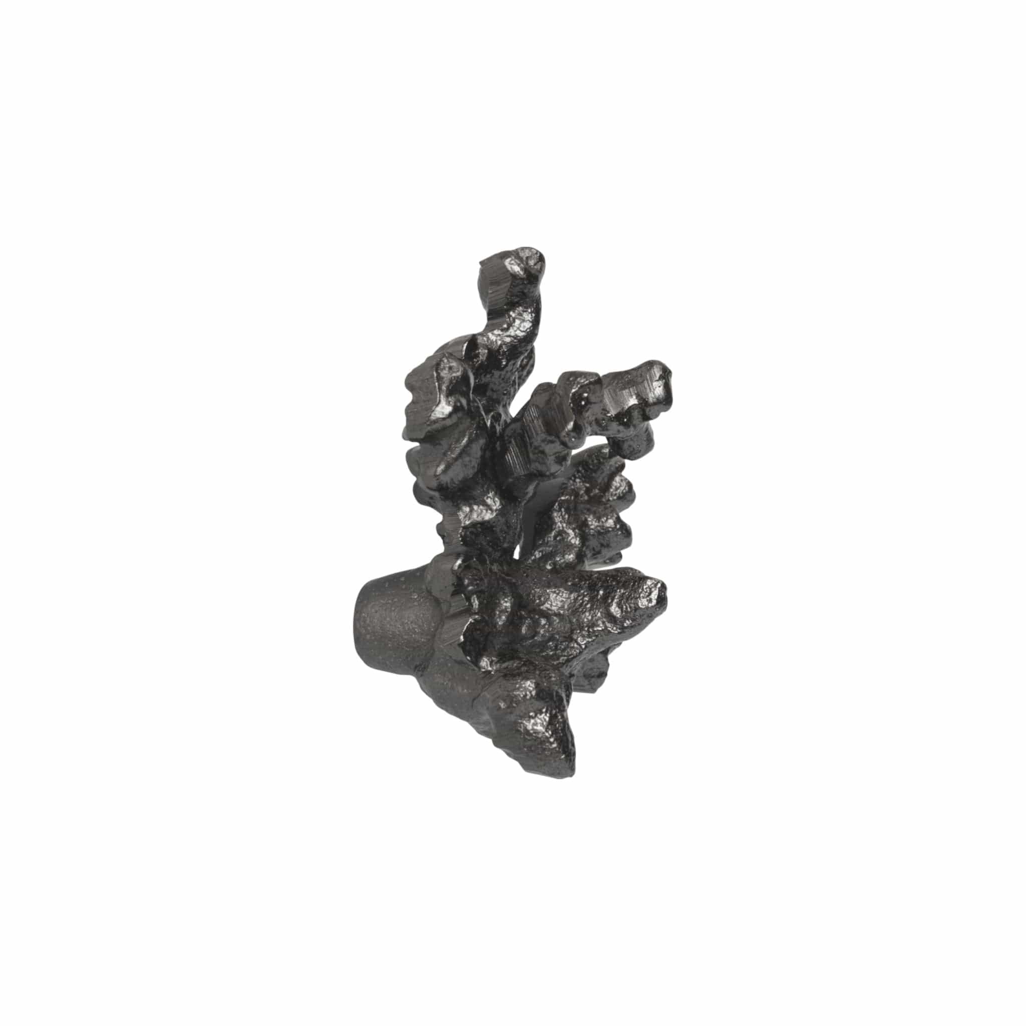 Comber Coral Branch | Knage i Sortoxideret Aluminium L 4 mm x B 6 mm Ferm Living FL-1104270841 FINICC