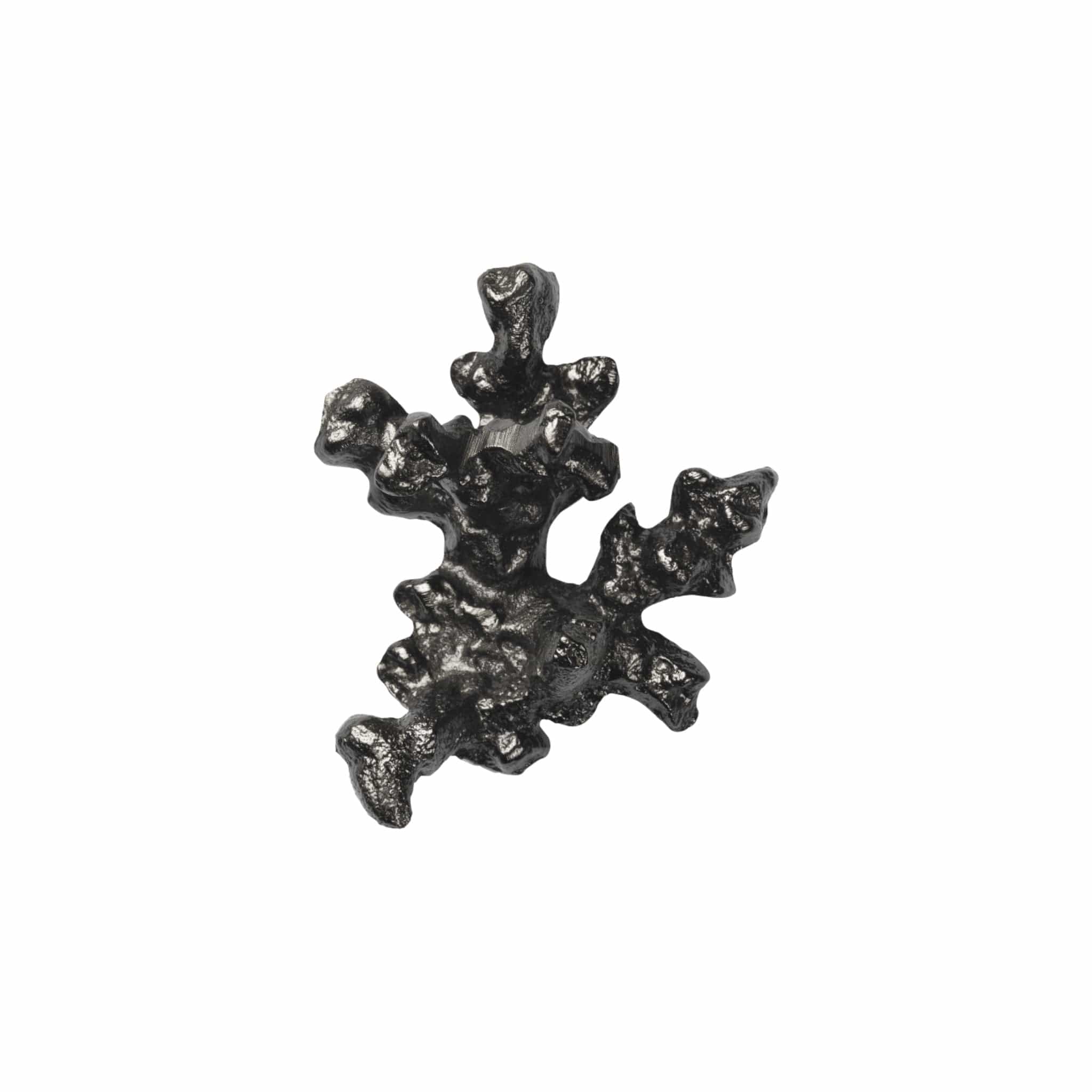 Comber Coral Branch | Knage i Sortoxideret Aluminium L 4 mm x B 6 mm Ferm Living FL-1104270841 FINICC