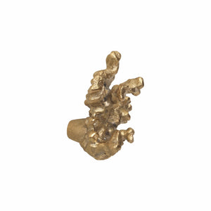 Comber Coral Branch | Knop/Knage i Ubehandlet Messing