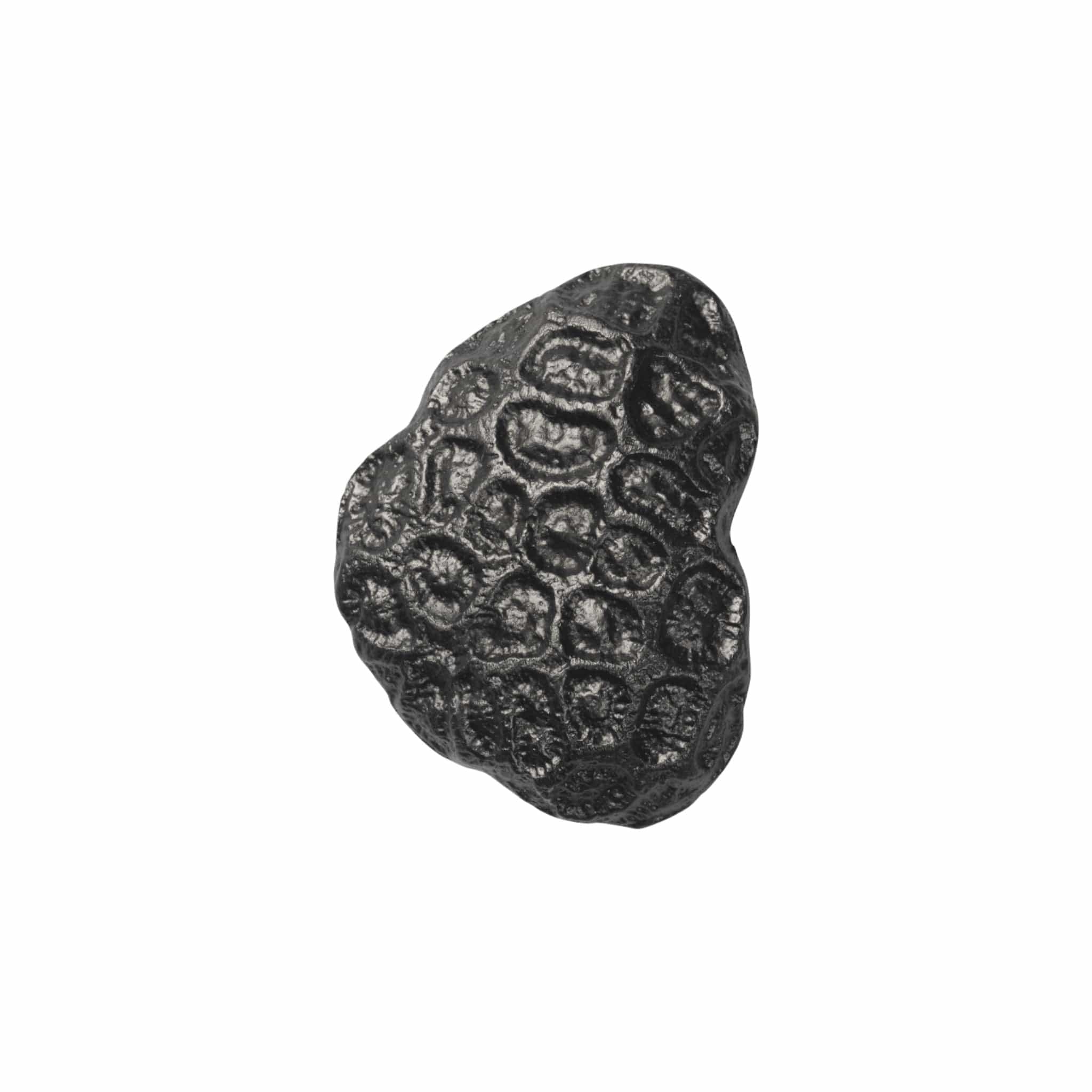 Comber Coral | Knage i Sortoxideret Aluminium L 3 mm x B 6 mm Ferm Living FL-1104270839 FINICC