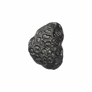 Comber Coral | Knop/Knage i Sortoxideret Aluminium