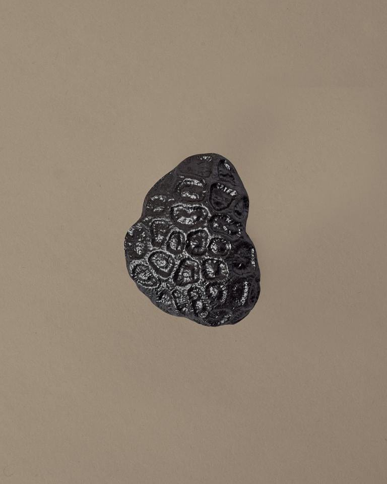 Comber Coral | Knop/Knage i Sortoxideret Aluminium L 30 mm x B 60 mm ferm LIVING FL-1104270839 FINICC